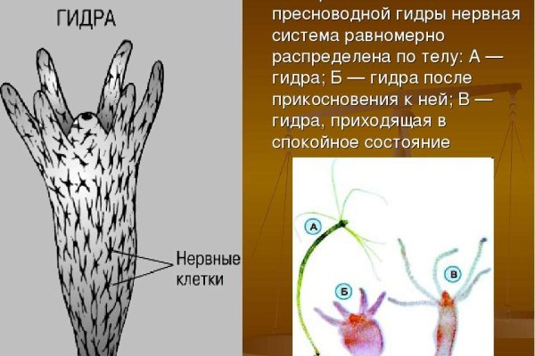 Официальная ссылка на blacksprut bs2web top