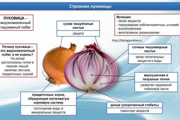 Актуальные ссылки на блэк спрут