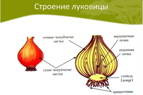 Как зайти на blacksprut с телефона